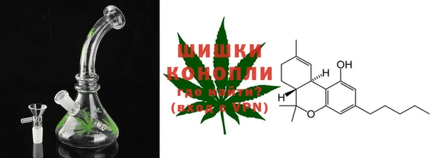бошки Нея
