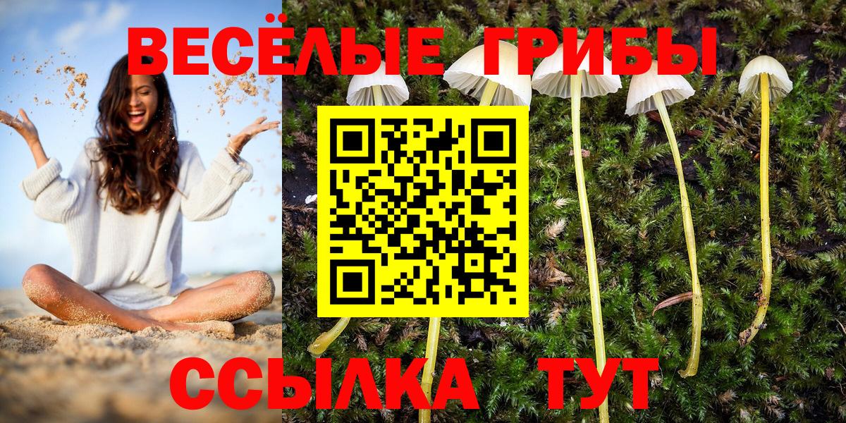Псилоцибиновые грибы мицелий Ливны