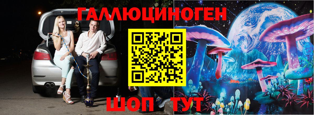 Псилоцибиновые грибы Psilocybe Ливны