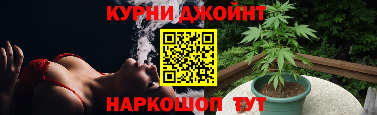 Конопля сатива  Ливны  Марихуана THC 21%  Каннабис White Widow  Бошки марихуана план 